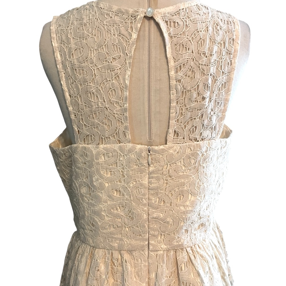 NWT ($108) Limited Cream Lace Fit & Flare Midi Dress Sz 10 - Picture 11 of 11